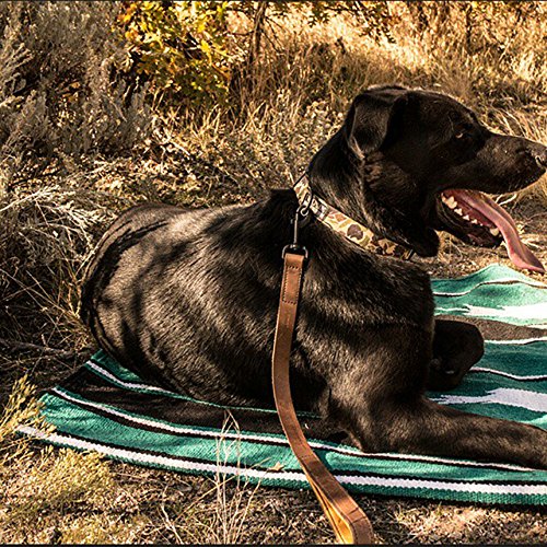 Amazon | WOLFGANG MAN & BEAST / ウルフギャング・マン＆ビースト